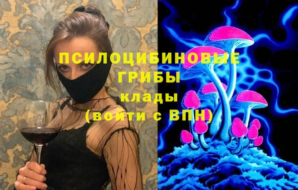 стафф Гусиноозёрск